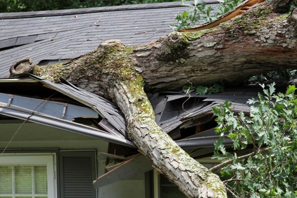 Storm Damage Recovery